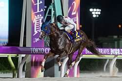 帝王賞（大井競馬場　JpnⅠ）