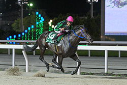 習志野きらっとスプリント（船橋競馬場　SⅡ）
