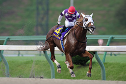 第31回クラスターカップ(JpnⅢ)/盛岡競馬場