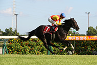 中央競馬全レース中継