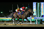 日本テレビ盃 他 (船橋競馬場 ＪｐｎⅡ)