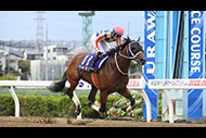 テレ玉杯オーバルスプリント 他 (浦和競馬場 ＪｐｎⅢ)