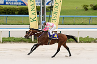 第43回白山大賞典（JpnⅢ）/金沢競馬場