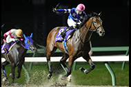 第55回不来方賞(M1)/水沢競馬場