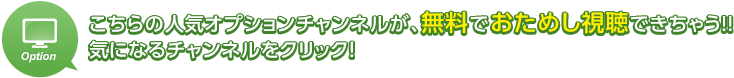 こちらの人気オプションチャンネルが、無料でおためし視聴できちゃう!!気になるチャンネルをクリック！