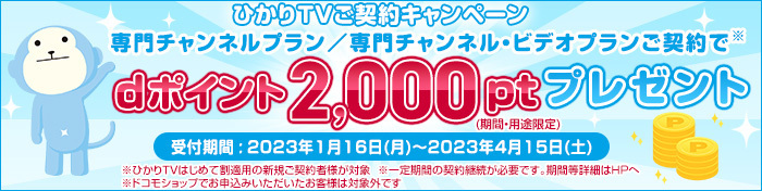 2000pt