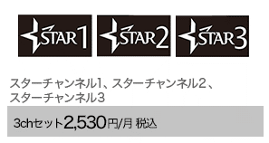 スターチャンネル1、スターチャンネル2、スターチャンネル3 3chセット2,530円/月（税込）