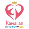 Kawaiian for ひかりＴＶ４Ｋ（Ch105 4K／Ch103 HD）