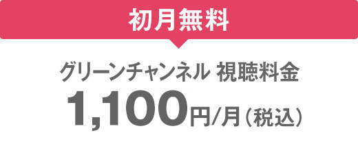 グリーンチャンネルを見るなら ひかりｔｖ がオススメ ひかりｔｖ
