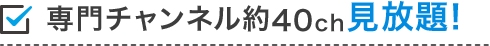 専門チャンネル約40ch見放題!