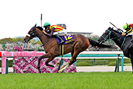 中央競馬全レース中継