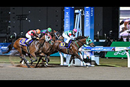 川崎記念（川崎競馬場　ＪｐｎⅠ）