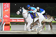 羽田盃（大井競馬場　ＪｐｎⅠ）