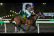 かしわ記念（船橋競馬場　ＪｐｎⅠ）