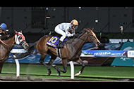 エンプレス杯（川崎競馬場　ＪｐｎⅡ）