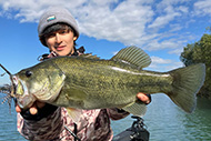 Dz BASS 30