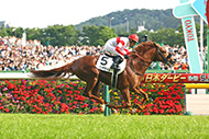 中央競馬全レース中継