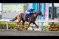 さきたま杯（浦和競馬場　ＪｐｎⅠ）