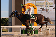 第55回　東海優駿（SPⅠ）/名古屋競馬場