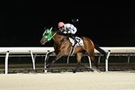 第53回　北海優駿（H1）/門別競馬場