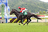 中央競馬全レース中継