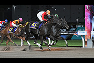 スパーキングレディーカップ（川崎競馬場　ＪｐｎⅢ）