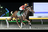 習志野きらっとスプリント（船橋競馬場　ＳⅡ）