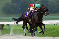 第29回　マーキュリーカップ（ＪｐｎⅢ）/盛岡競馬場