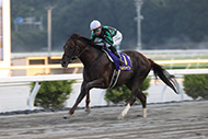 第22回　トレノ賞（重賞）/高知競馬場
