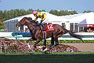 中央競馬全レース中継