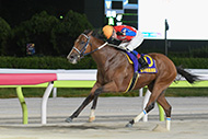 黒潮盃　（大井競馬場　SⅢ）