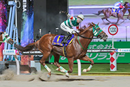 スパーキングサマーカップ（川崎競馬場　SⅡ）