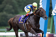 第30回　クラスターカップ(JpnⅢ)/盛岡競馬場