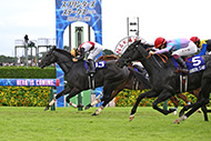 中央競馬全レース中継