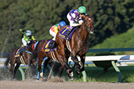 第57回不来方賞(JpnⅡ)/盛岡競馬場