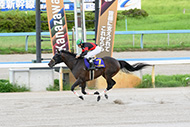 第30回白山大賞典(JpnⅢ)/金沢競馬場