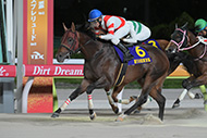 東京盃　（大井競馬場　JpnⅡ）

