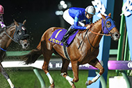 第57回マイルチャンピオンシップ南部杯(JpnⅠ)/盛岡競馬場
