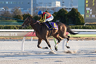 雲取賞　（大井競馬場　JpnⅢ）

