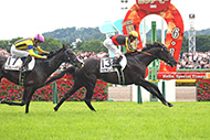 中央競馬全レース中継
