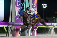 帝王賞（大井競馬場　JpnⅠ）

