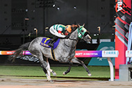 スパーキングレディ－カップ（川崎競馬場　JpnⅢ）

