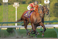 第30回 マーキュリーカップ(JpnⅢ)/盛岡競馬場



