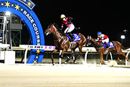 第47回 王冠賞(H2)/門別競馬場

