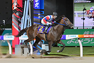 スパーキングサマーカップ（川崎競馬場　SⅡ）

