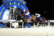 第38回ブリーダーズゴールドカップ(JpnⅢ)/門別競馬場

