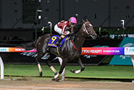 戸塚記念（川崎競馬場　SⅠ）

