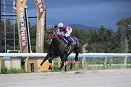 第46回 白山大賞典(JpnⅢ)/金沢競馬場



