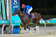 ジャパンダートクラシック（大井競馬場　JpnⅠ）

