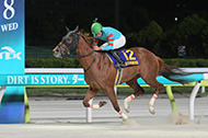 東京盃（大井競馬場　JpnⅡ）

